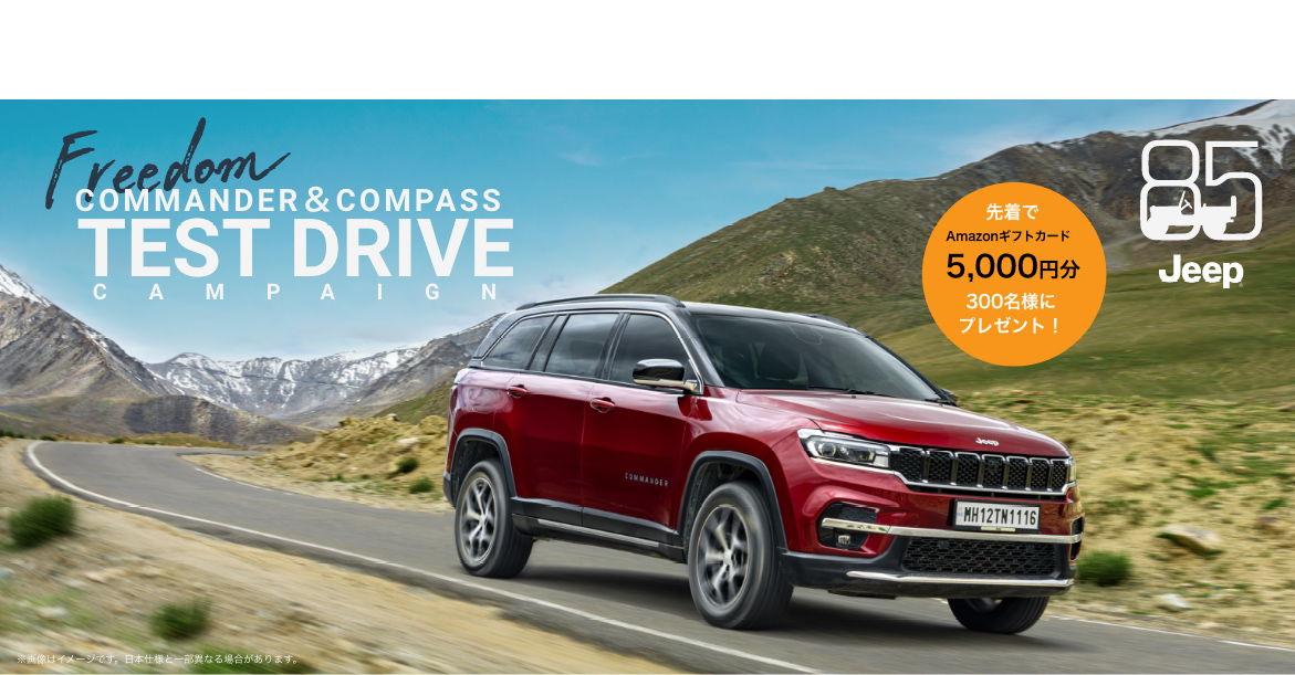 テストドライブキャッチ